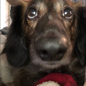 Meet your Posher, Gary